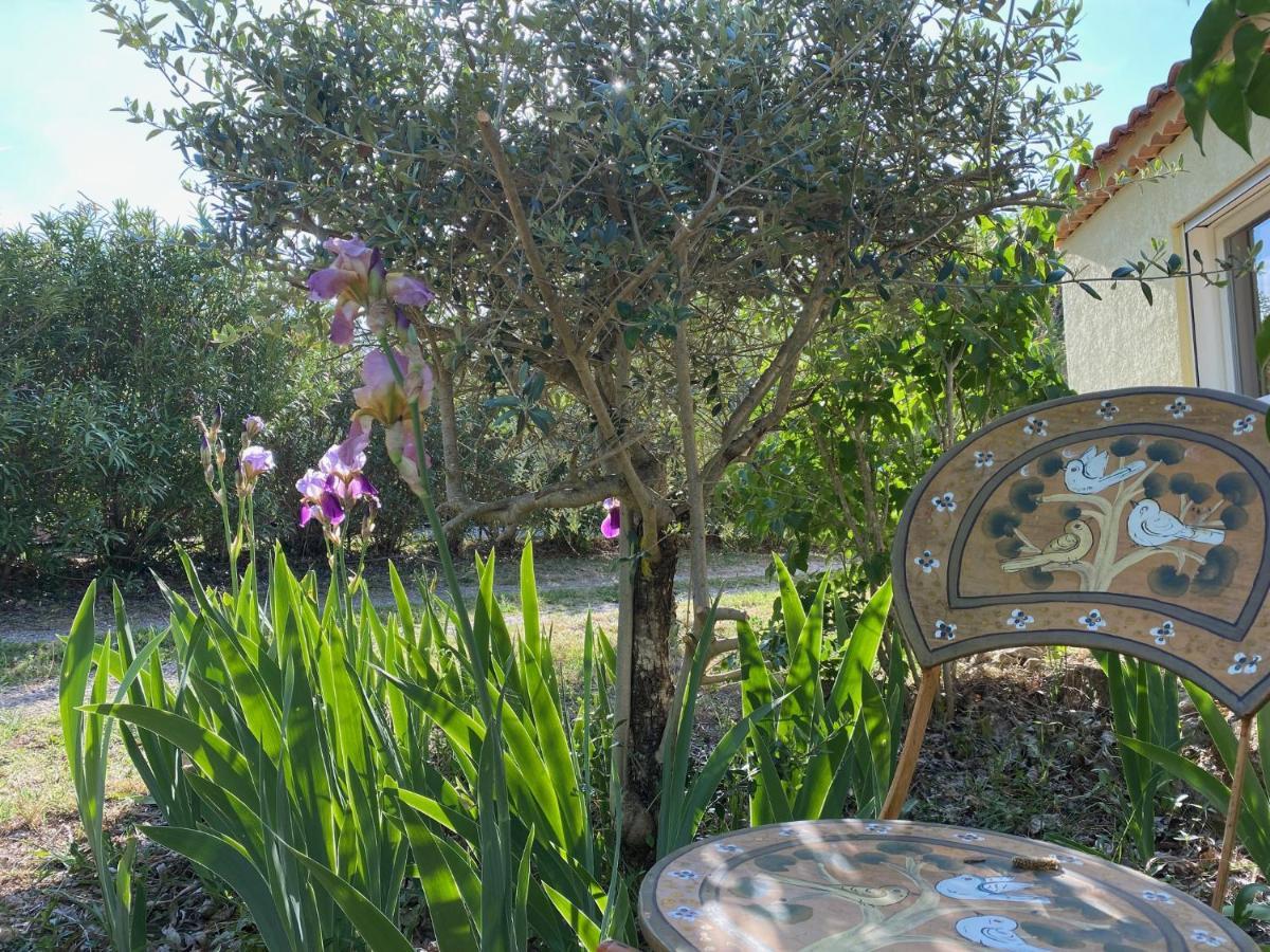 L'Eveil En Provence Bed & Breakfast Entrecasteaux Екстериор снимка