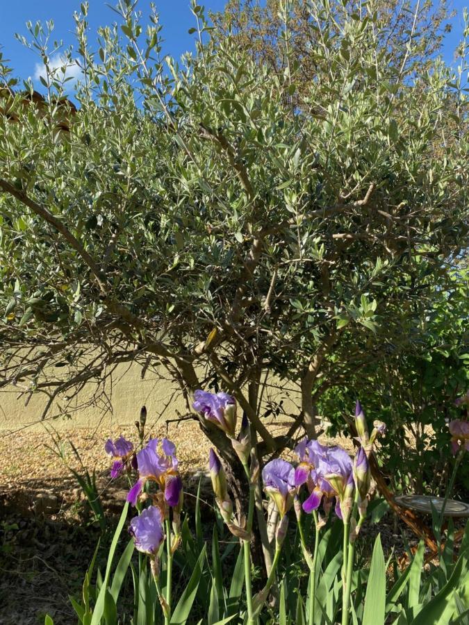 L'Eveil En Provence Bed & Breakfast Entrecasteaux Екстериор снимка